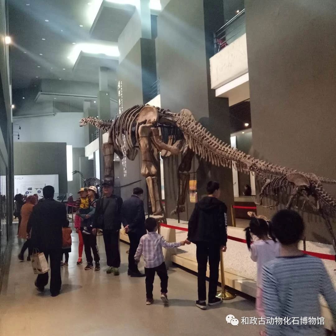 微信图片_20180521111247