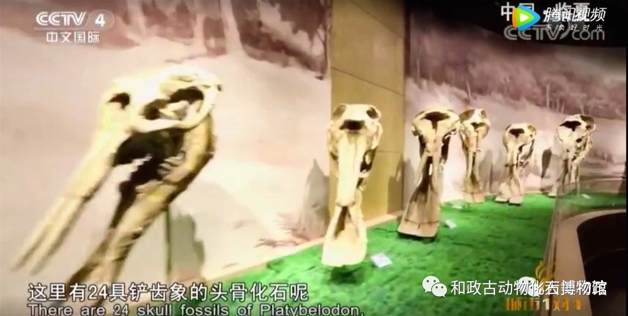 微信图片_20190412094141
