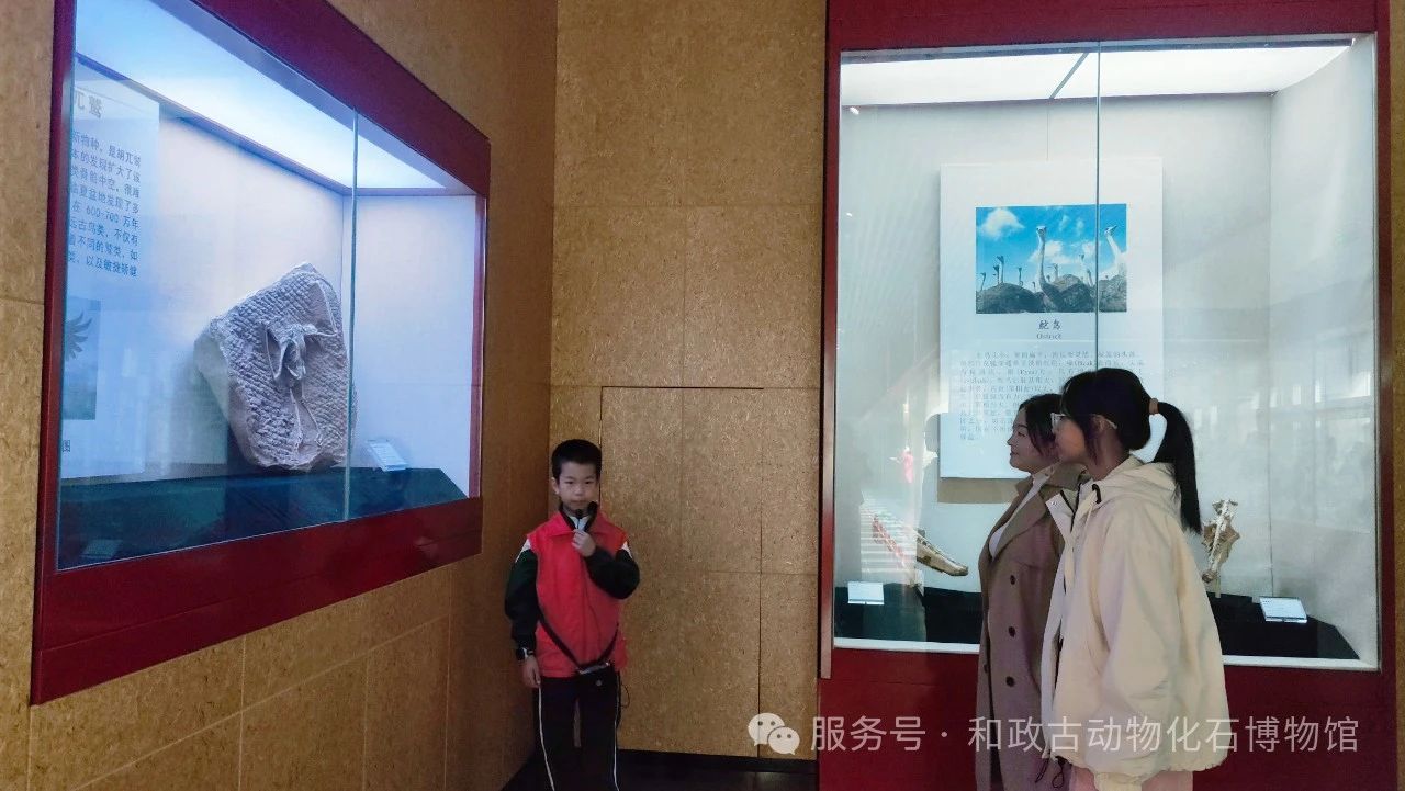 微信图片_20250429144356.jpg