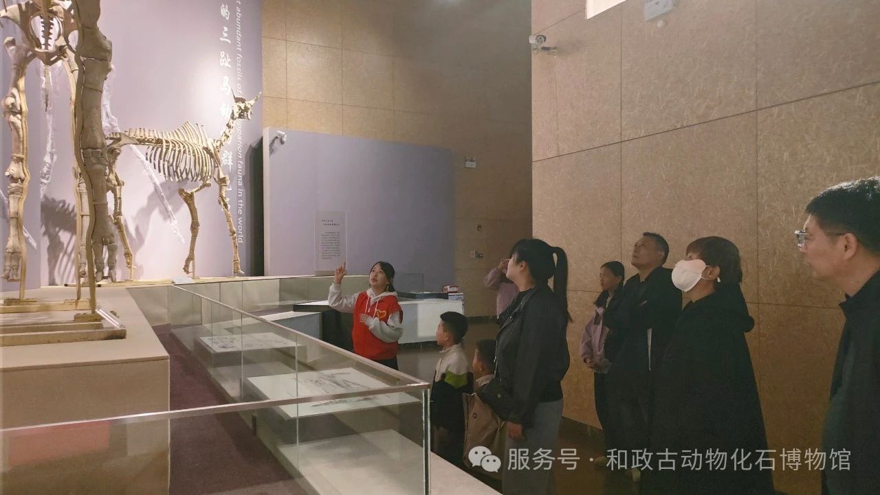 微信图片_20250429144345.jpg